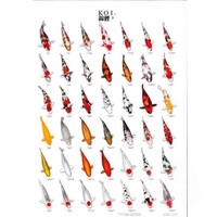 Koiposter Nr.3 Gelamineerd 68X90CM