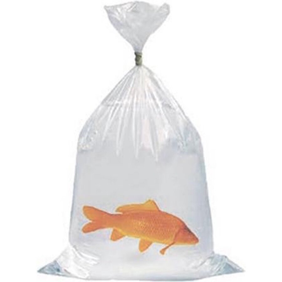 Koi Zak