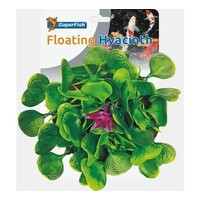 Pond Deco Waterhyacint