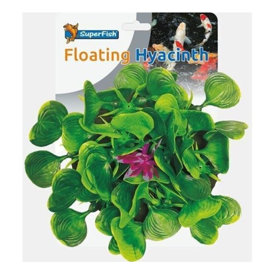 Pond Deco Waterhyacint