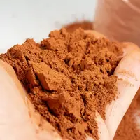 Terrariumzand rood 12,5kg voor woestijn- en zandterraria