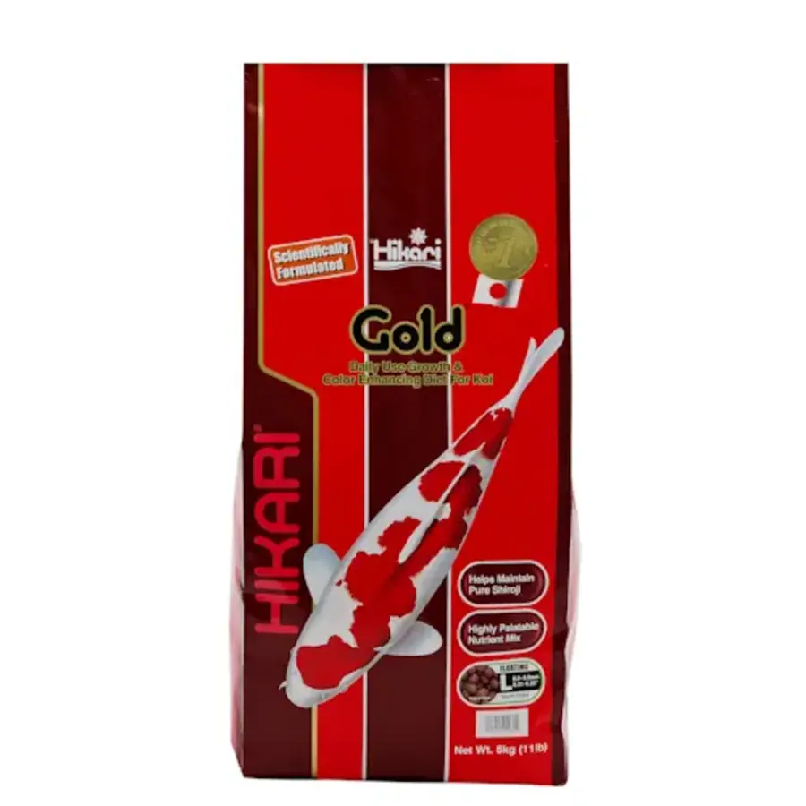 Gold Large
