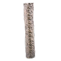 Standing Log
