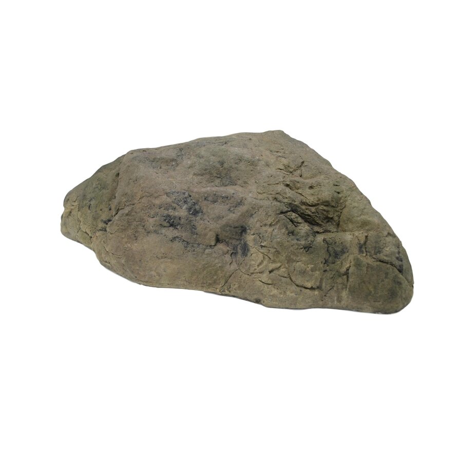 Kam rots bruin voor aquarium en terrarium