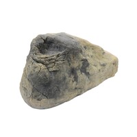 Kam rots bruin voor aquarium en terrarium