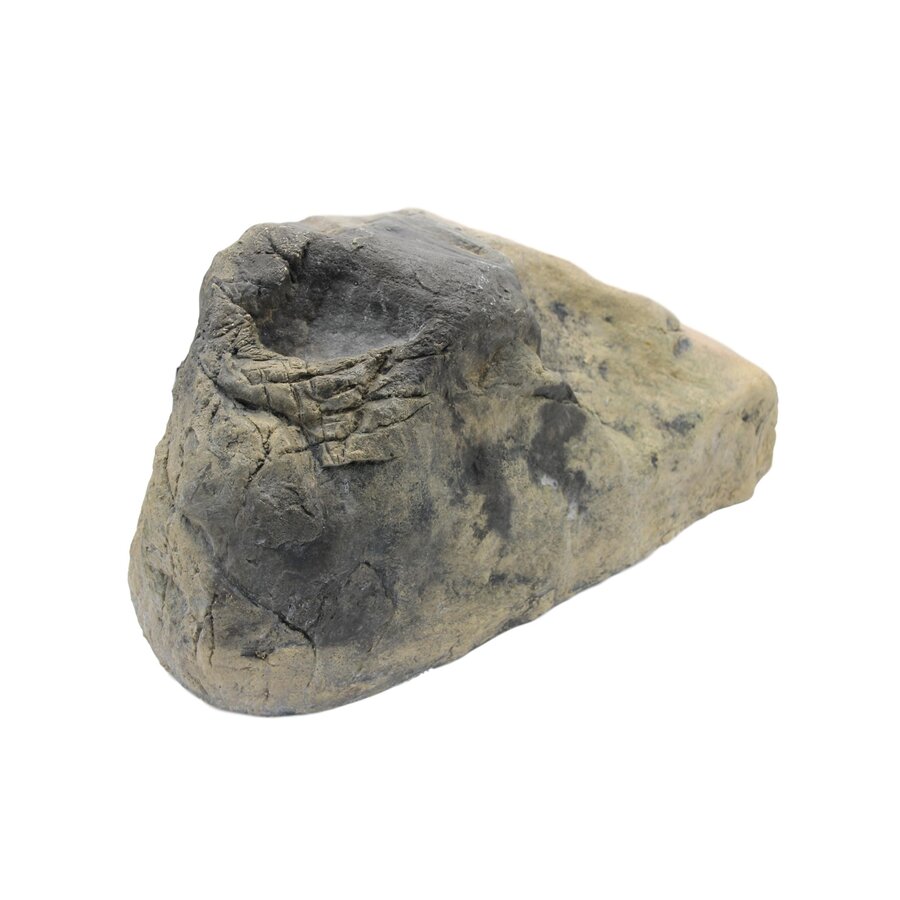 Kam rots bruin voor aquarium en terrarium