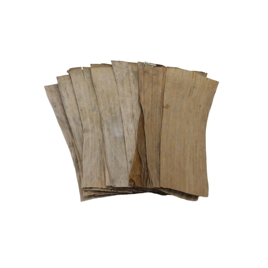 Bananen Bladeren 20x | 15-20 cm | natuurlijke waterverbeteraar voor aquarium decor voor terraria