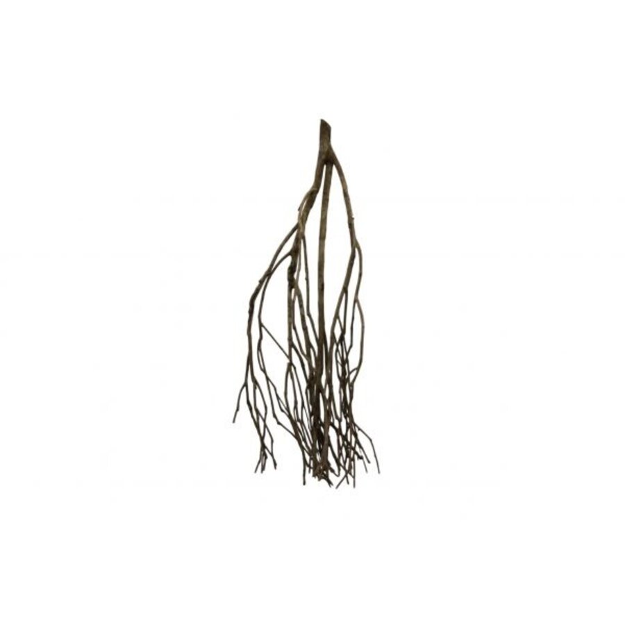 Talawa Wood natuurlijk aquarium / terrarium hout