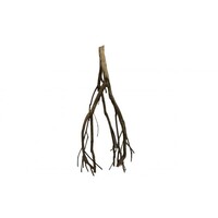 Talawa wood fijn vertakt aquarium- en terrariumhout