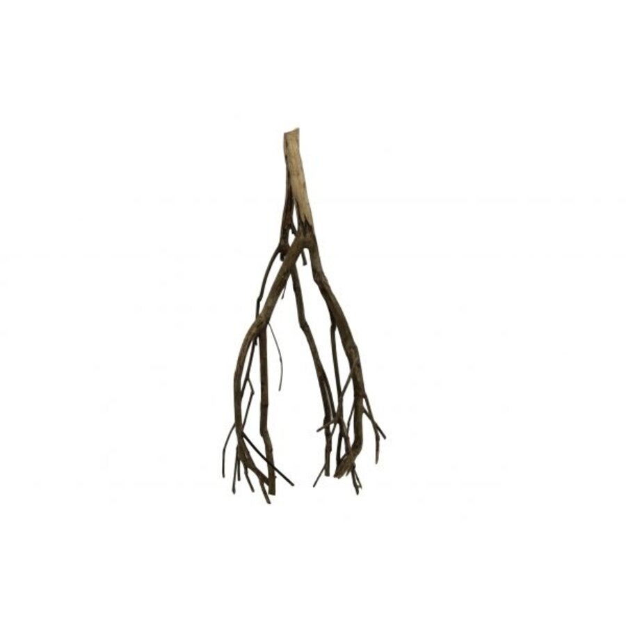 Talawa Wood