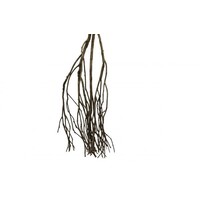 Talawa Wood