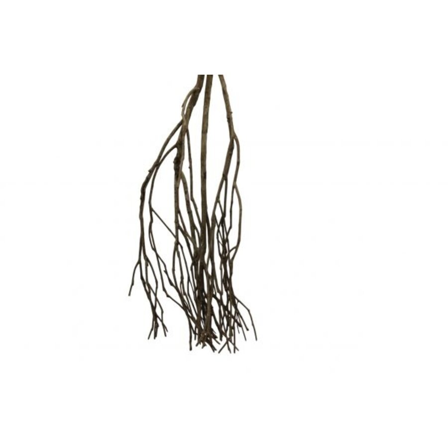 Talawa wood fijn vertakt aquarium- en terrariumhout