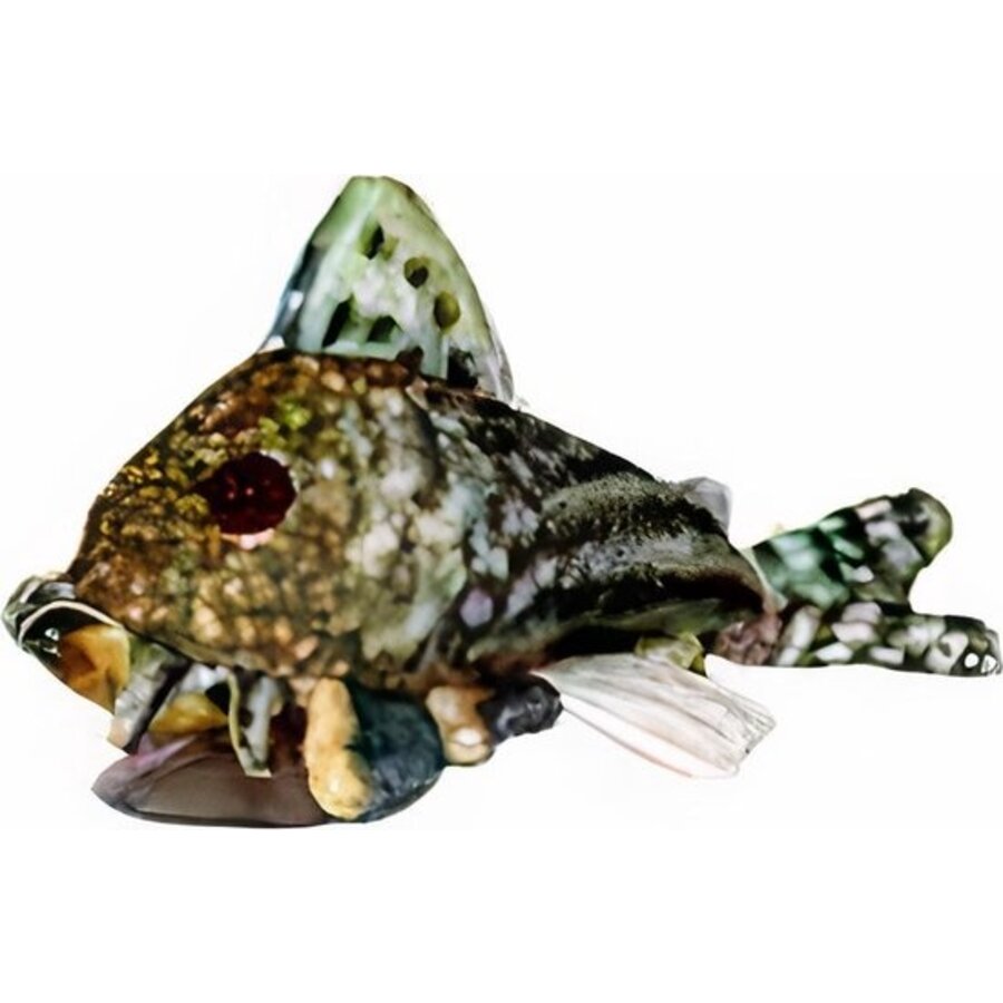 Sterbai Corydoras Plush