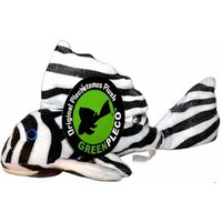 Zebra Pleco Xl Plush