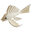 Longfin Pleco Plush