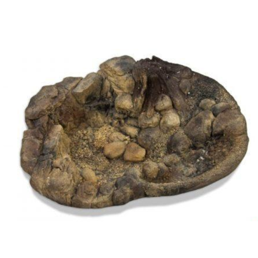 Terrarium waterbak basin voor reptielen en amfibieën | natuurlijke bad- en drinkplaats | diverse maten