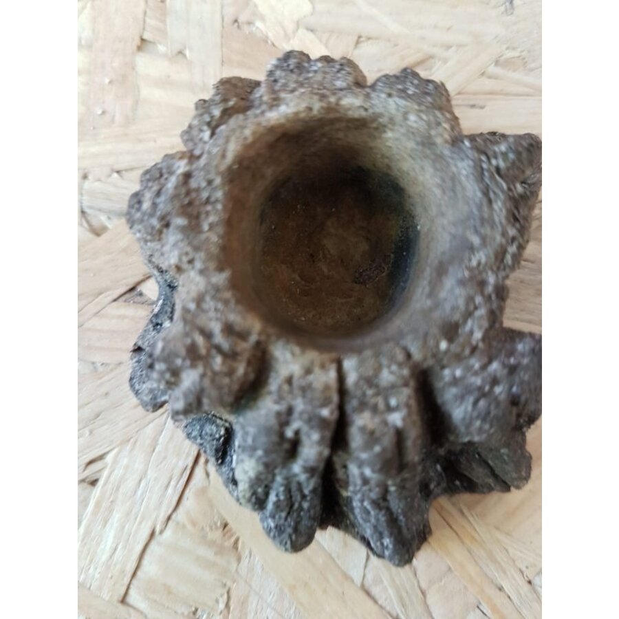 errarium Bowl XXS water|voerbak 7x5x3,5 cm voor terrarium