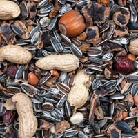 Greenline Noten Mix 500 Gram