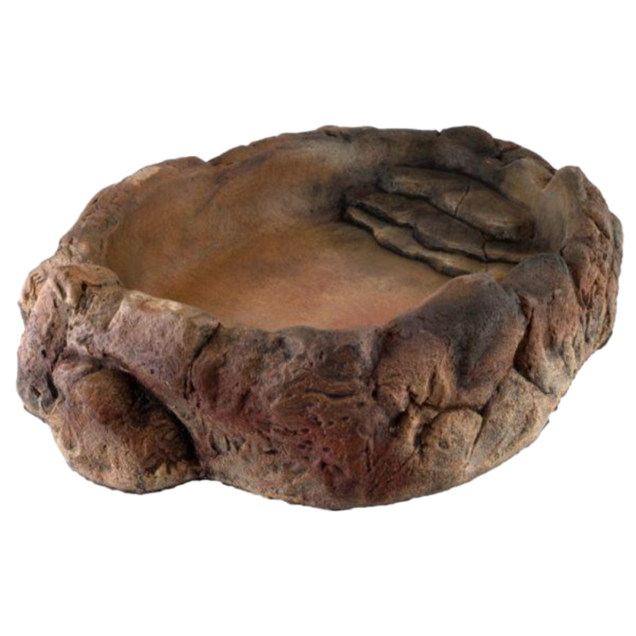 Terrarium bowl natuurgetrouw | waterbak voor reptielen en amfibieën in diverse maten