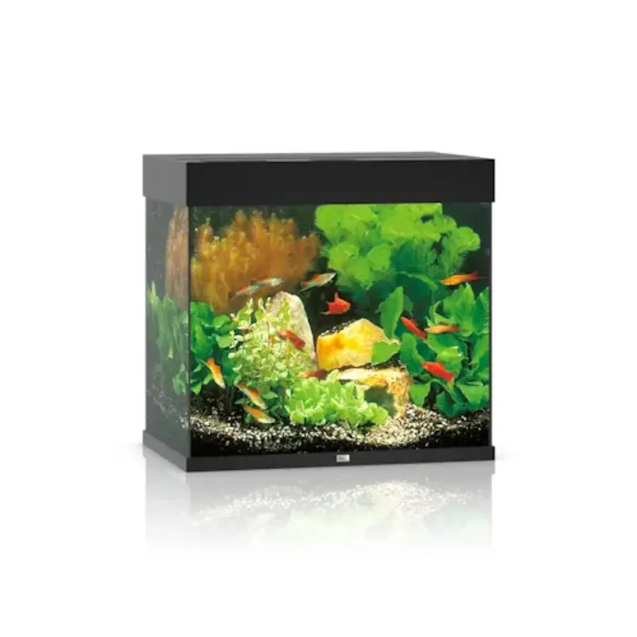 Lido 120 LED | 120L | 61 x 41 x 58CM Zwart