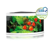 Trigon 350 LED | 350L | 123 x 87 x 65CM Wit