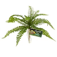 Sword Fern terrarium kunstplant ca 30cm voor reptielen en amfibieën