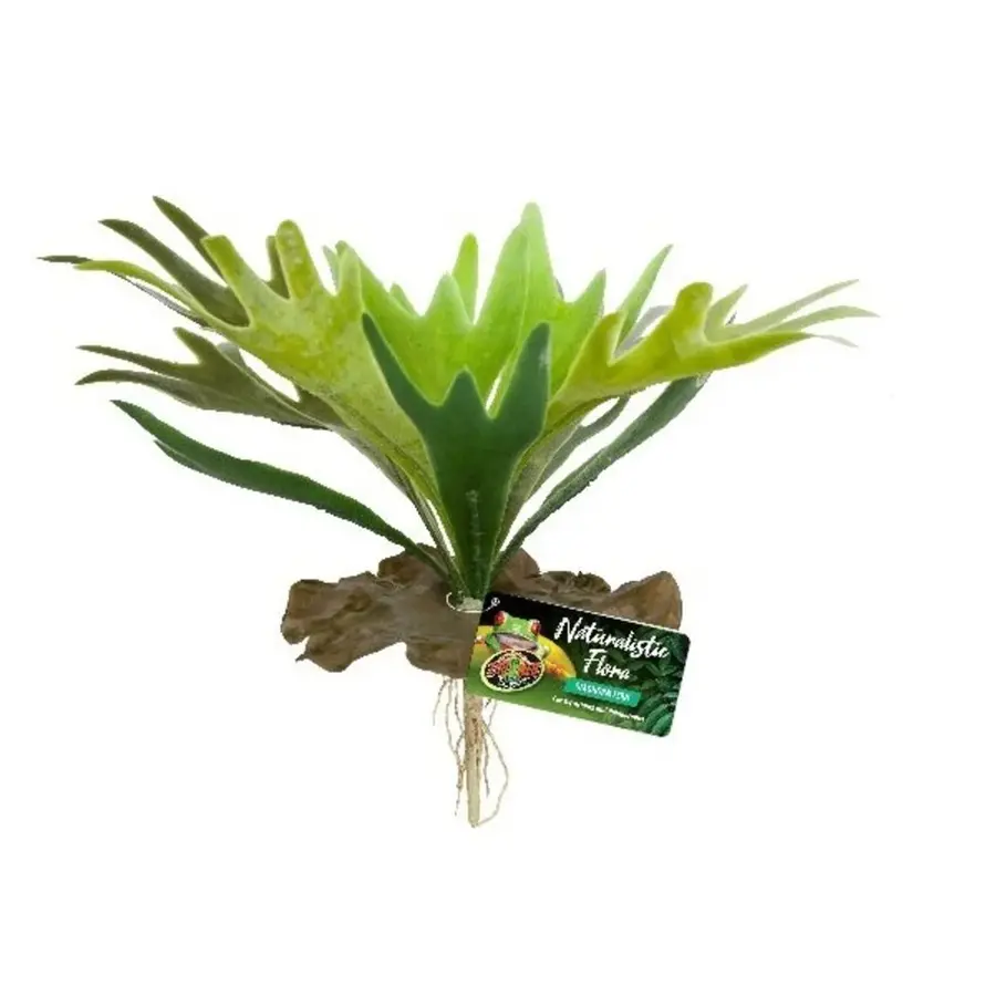 Staghorn Fern kunstplant 24 cm voor tropisch reptielenterrarium
