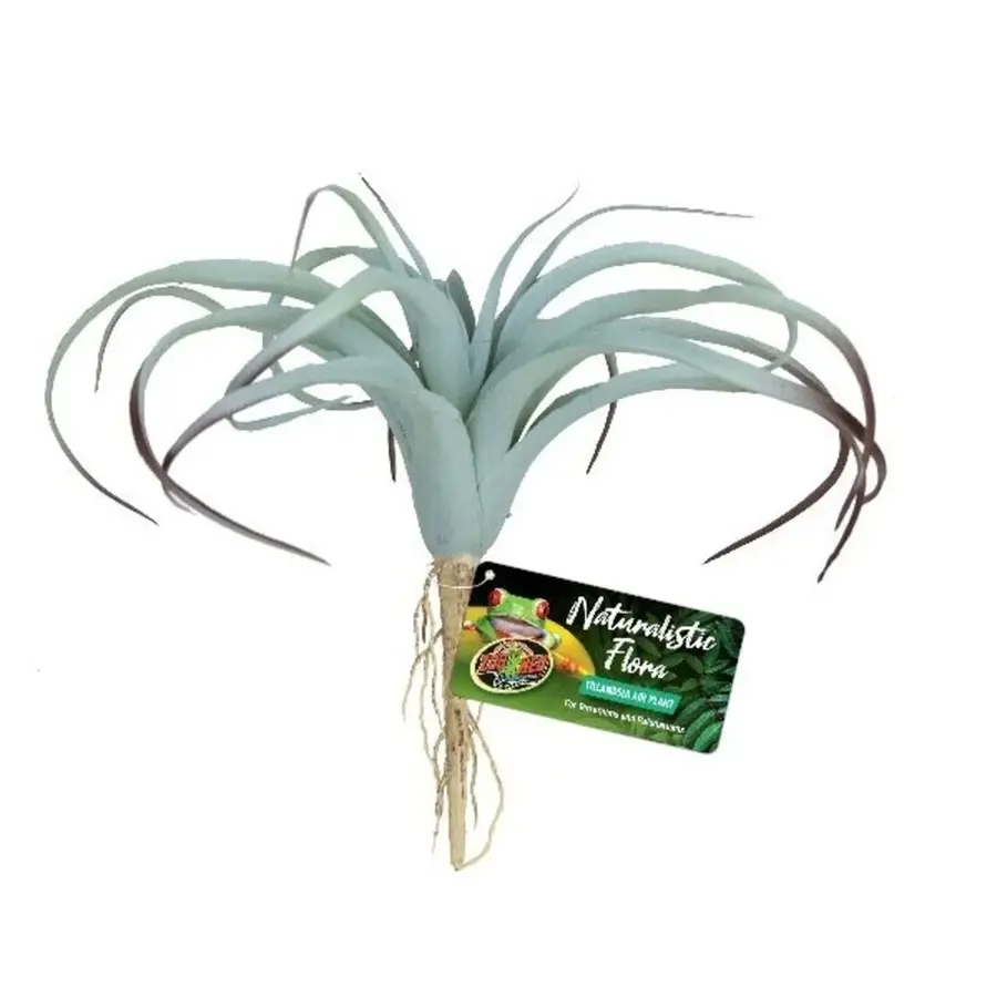 Tilandsia Air Plant terrarium kunstplant 29 cm | waterbestendig | schuilplant