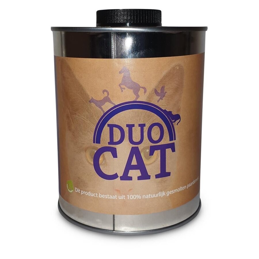 Duo Cat