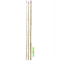 Hengel Bamboe 3x126CM + Tuigje