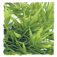 Madagascar Bamboo Kunstplant voor terrariumdecoratie