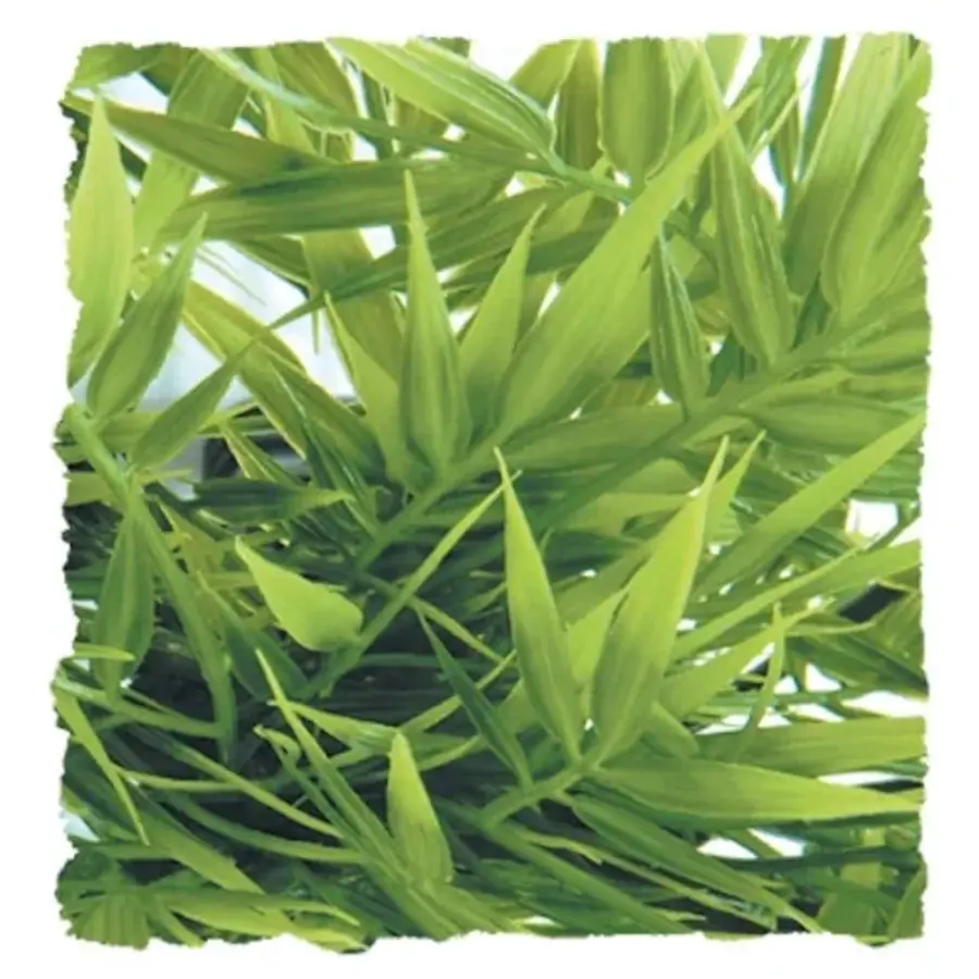 Madagascar Bamboo Kunstplant voor terrariumdecoratie