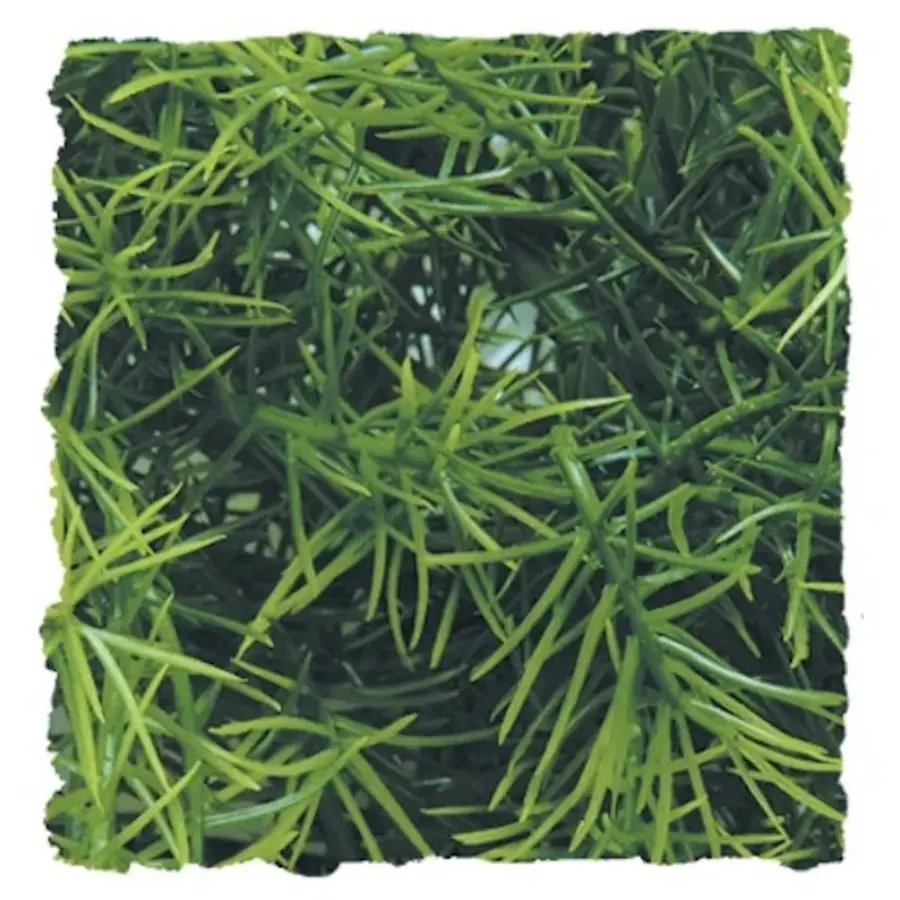 Cashuarina kunstplant voor terraria | decoratieve schuilplant