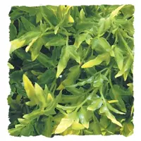 Bolivian Croton Kunstplant