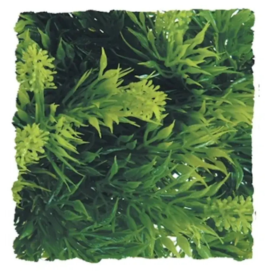 Malaysian Fern Kunstplant