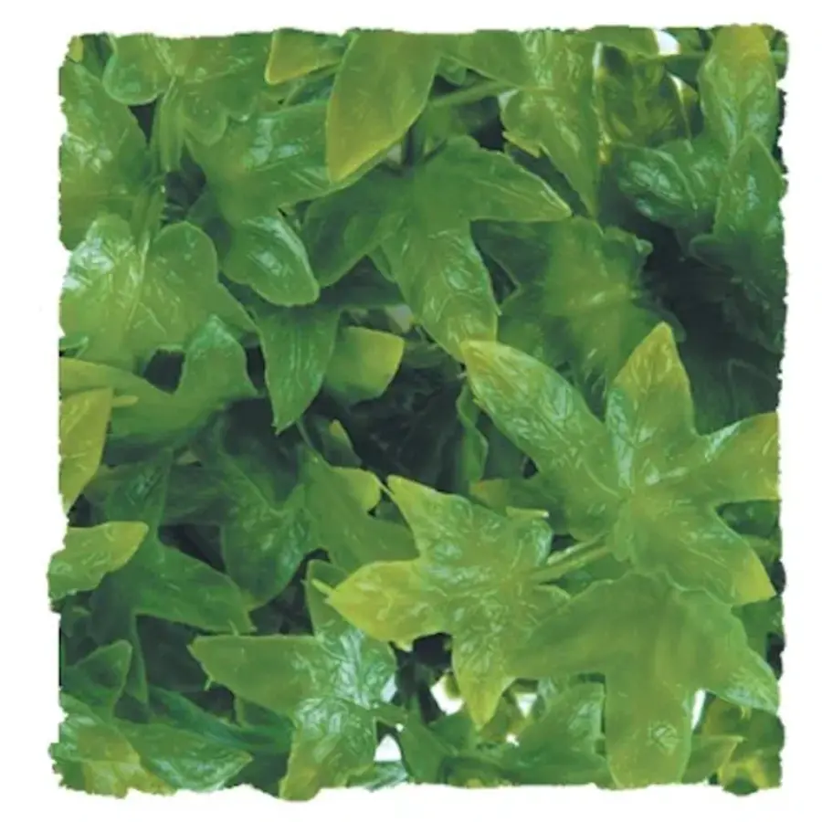 Congo Ivy Kunstplant in drie maten