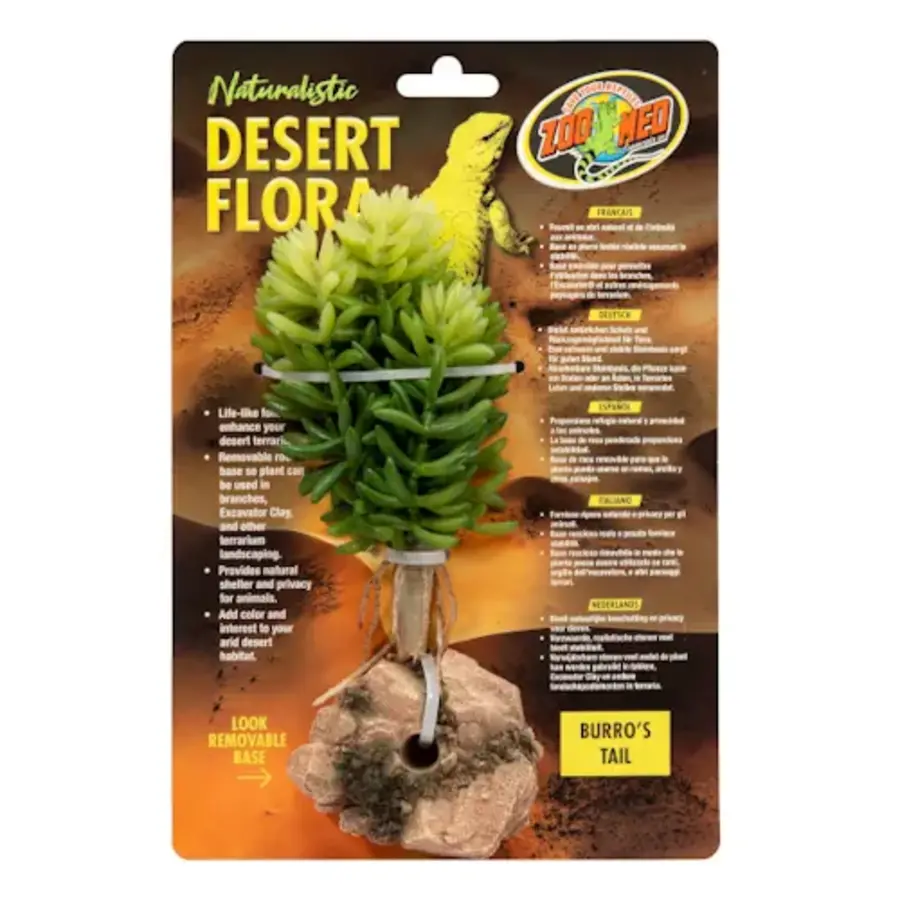 Burro's Tail kunstplant voor terrarium 11 cm met rotsbasis