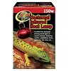 Nocturnal Red Infrared Heat Lamp 150W
