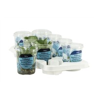 Drijfplanten mix | In Beker Medium