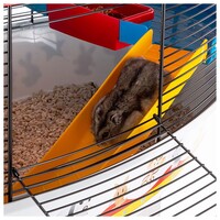 Hamsterkooi Circus Fun met accessoires