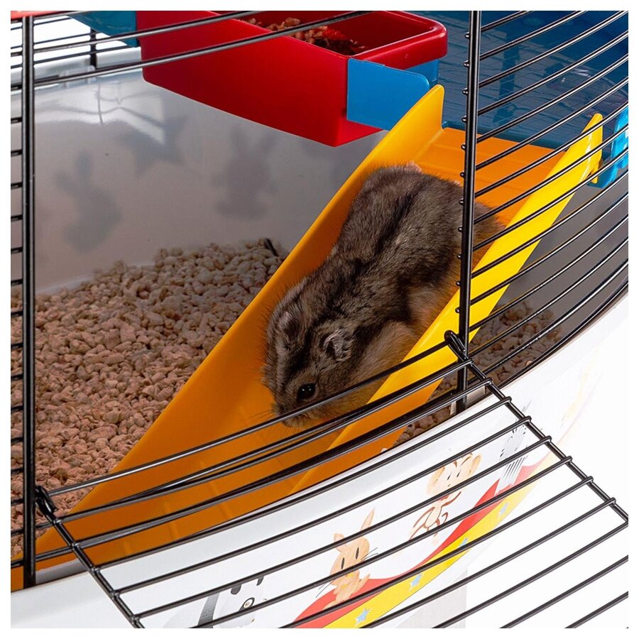 Hamsterkooi Circus Fun met accessoires