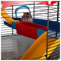Hamsterkooi Circus Fun met accessoires