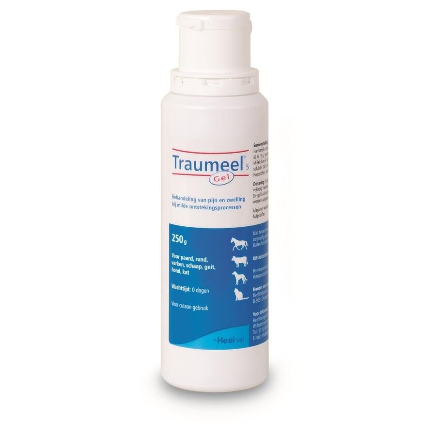 Traumeel S Gel 250 Gram