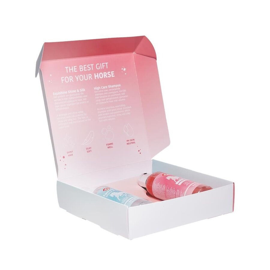 GiftBox Shampoo & Shine