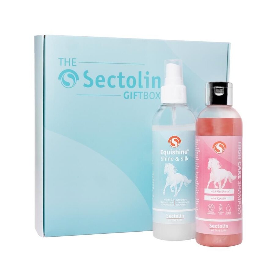 GiftBox Shampoo & Shine