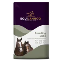 Breeding Cube paardenvoer voor dracht & lactatie | 20 kg