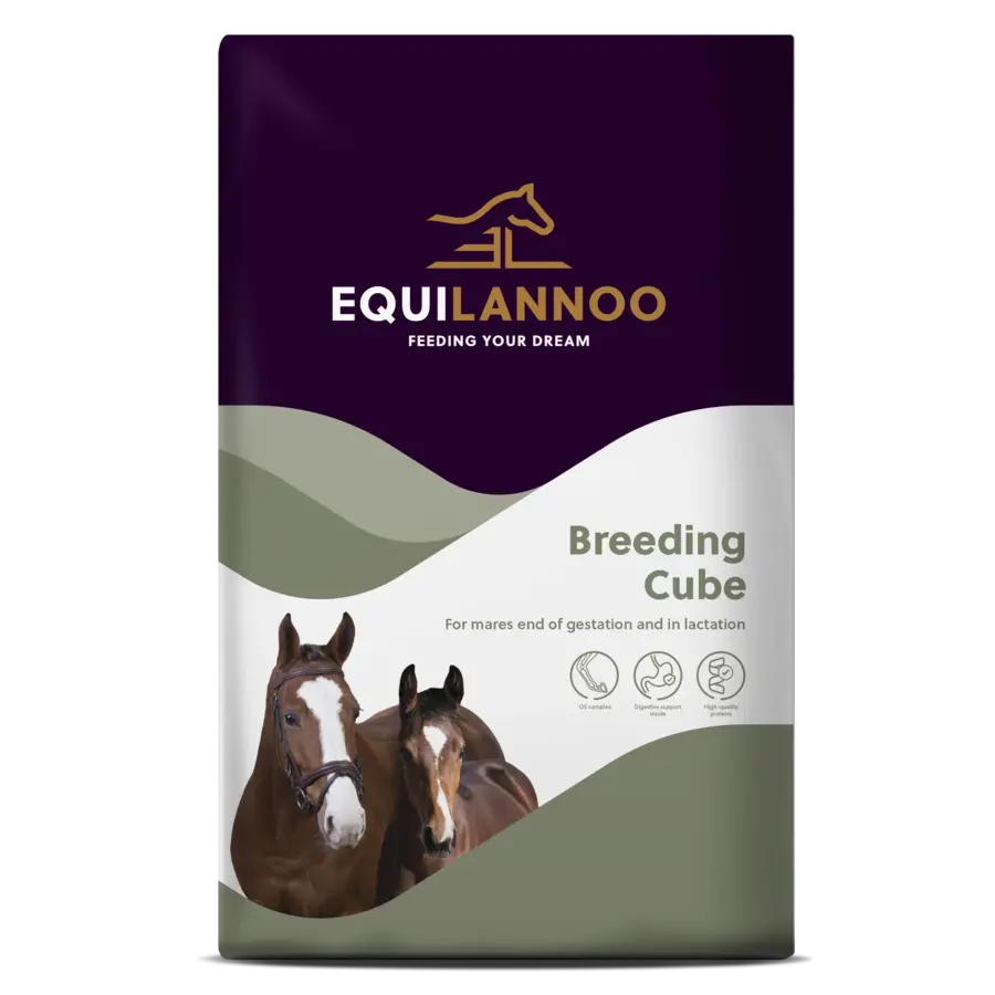 Breeding Cube paardenvoer voor dracht & lactatie | 20 kg