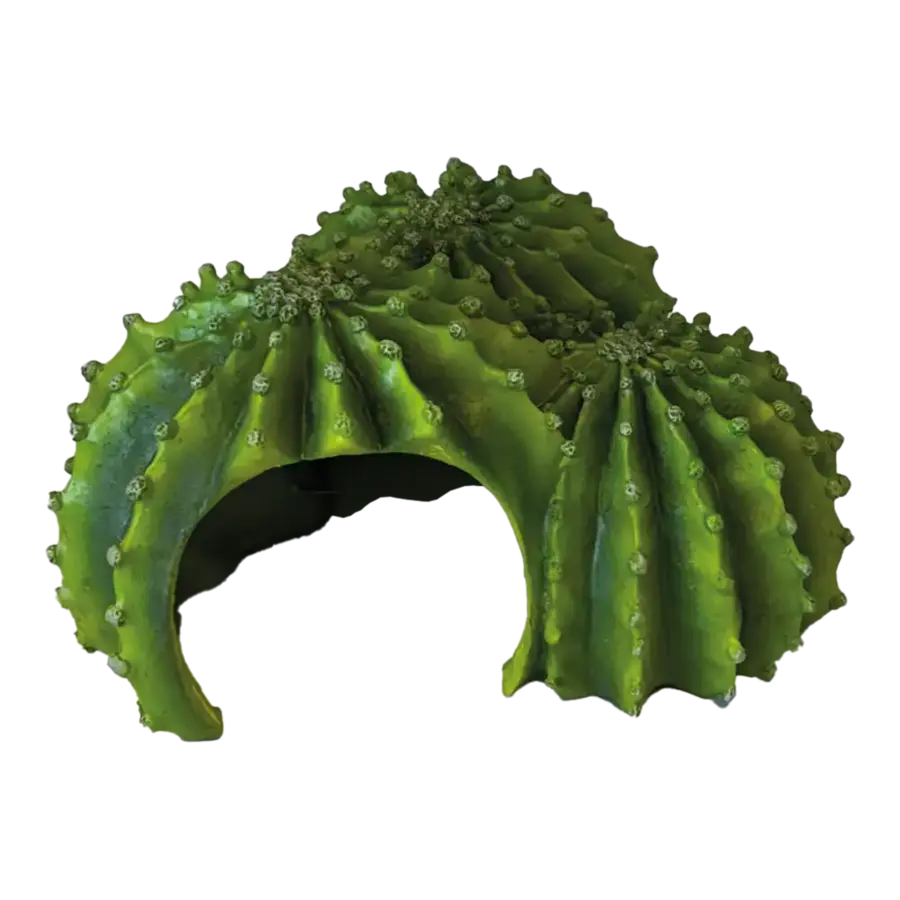 Deco Cactus Triple terrariumgrot 24 x 21 x 13 cm