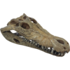 Deco Crocodile