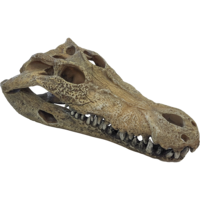 Krokodillenschedel terrariumdecoratie met schuilplaats en zonneplek | L en XXL